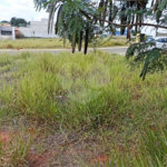 Terreno à venda em Parque Itapê, Itapetininga, SP