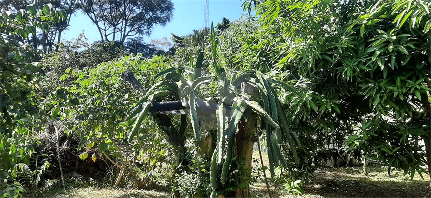 Terreno à venda em Vila Guido, Itu, SP