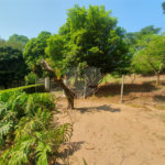 Chácara à venda com 3 quartos, sendo 1 suíte, em Chácaras Alpina, Valinhos, SP