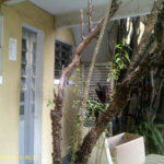 Casa Térrea à venda com 4 quartos, sendo 1 suíte, em Tremembé, São Paulo, SP