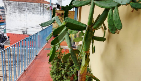 Sobrado à venda com 3 quartos em Tremembé, São Paulo, SP