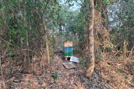 Sítio à venda com 3 quartos, sendo 1 suíte, em Bairro do Cambará, São Roque, SP