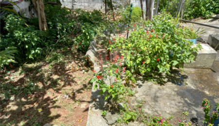 Terreno à venda em Tremembé, São Paulo, SP
