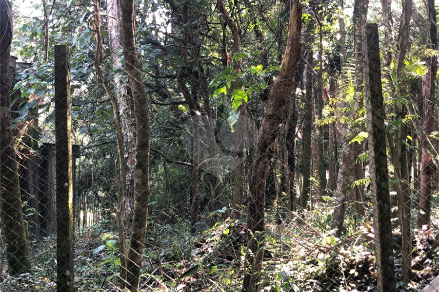 Terreno à venda em Roseira, Mairiporã, SP