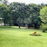 Chácara à venda com 4 quartos, sendo 1 suíte, em Pinheirinho, Vinhedo, SP