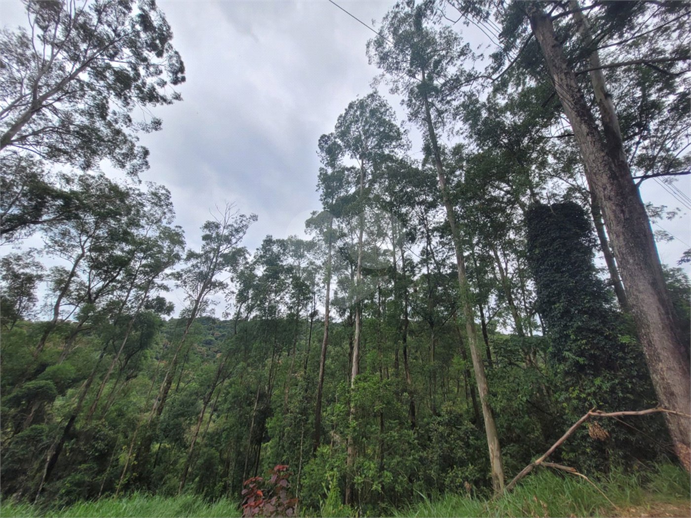Terreno à venda no condomínio Parque Petrópolis 4 Secção, Mairiporã - SP