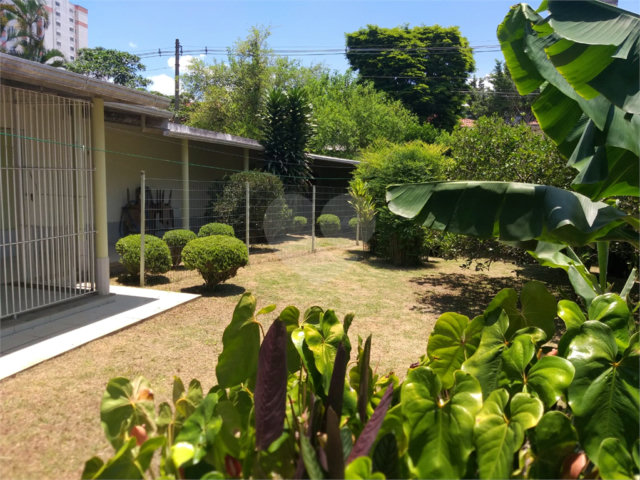 Terreno à venda com 1 quarto em Campo Grande, São Paulo, SP