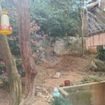 Sobrado à venda com 4 quartos em Vila Santa Edwiges, São Paulo, SP