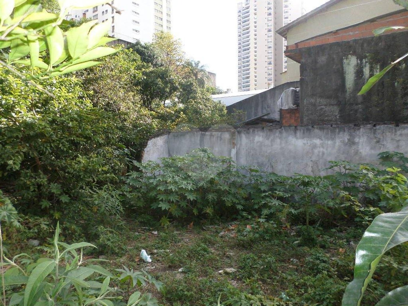 Terreno à venda ou para alugar em Água Fria, São Paulo, SP