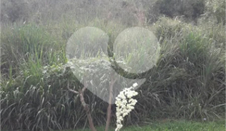 Terreno à venda no condomínio Alpes de Mairiporã, Mairiporã - SP