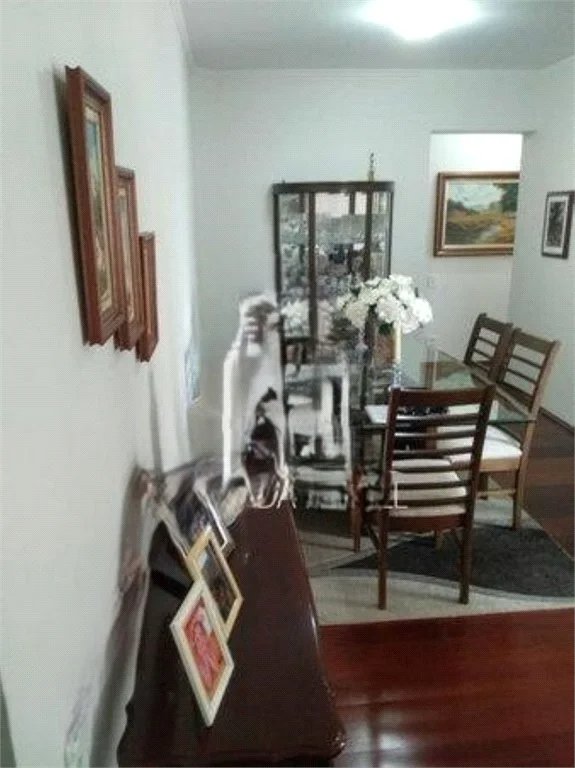 Apartamento à venda com 3 quartos, sendo 1 suíte, em Vila Butantã, São Paulo, SP
