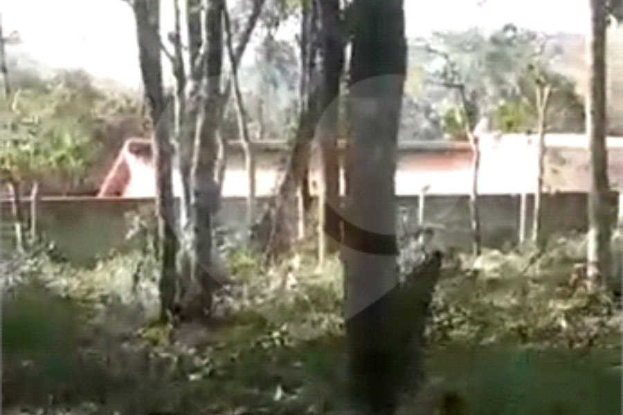 Terreno à venda em Luiz Fagundes, Mairiporã, SP