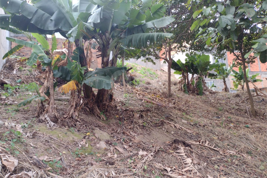 Terreno à venda em Vila Romero, São Paulo, SP