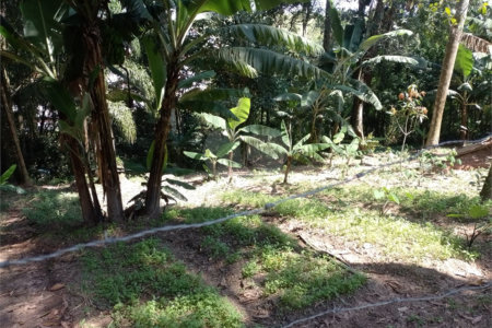 Chácara à venda com 8 quartos em Parque Piratininga, Itaquaquecetuba, SP