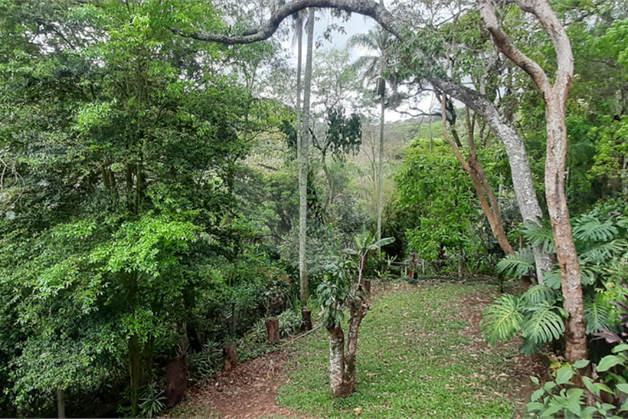 Casa Térrea à venda com 4 quartos, sendo 2 suítes, em Serra da Cantareira, Mairiporã, SP