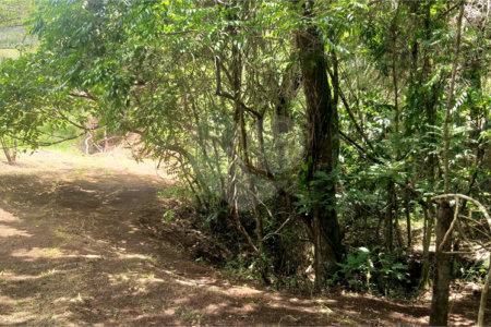 Sítio à venda no Centro, Monte Sião, MG