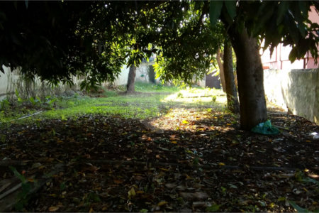 Terreno à venda ou para alugar em Campo Belo, São Paulo, SP