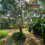 Casa à venda com 4 quartos, sendo 2 suítes, em Bosque, Vinhedo, SP