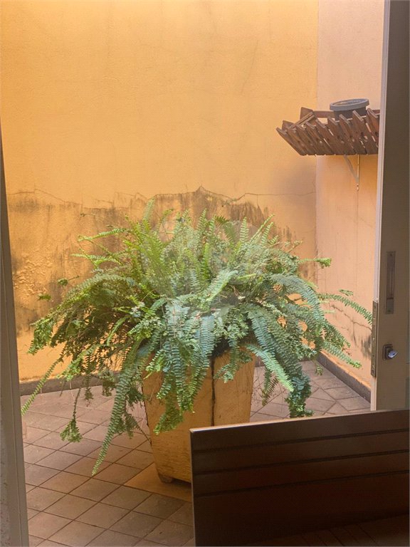Casa Térrea à venda com 3 quartos, sendo 1 suíte, em Jardim Maria Luiza, Araraquara, SP