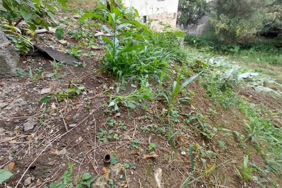 Terreno à venda em Tucuruvi, São Paulo, SP