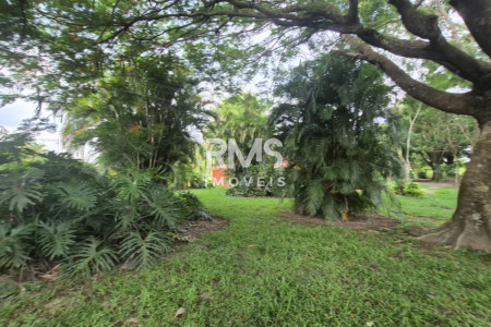 SÍTIO À VENDA EM ELIAS FAUSTO 21.900 m² - ÓTIMA TOPOGRAFIA E EXCELENTE LOCALIZAÇÃO
