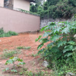 Terreno à venda em Vila Albertina, São Paulo, SP