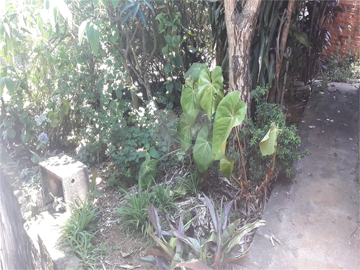 Terreno à venda em Jaraguá, São Paulo, SP