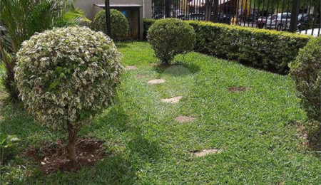 Apartamento à venda com 2 quartos em Jardim Ivana, São Paulo, SP