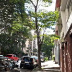 Sobrado à venda ou para alugar em Santana, São Paulo, SP