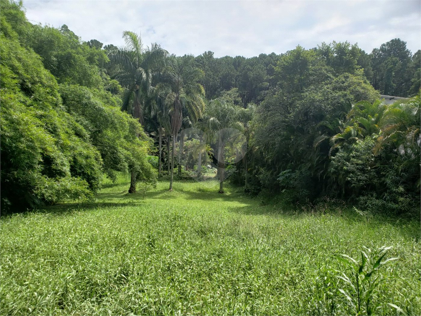 Terreno à venda em Horto, São Paulo, SP