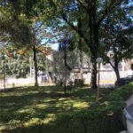 Apartamento à venda com 2 quartos em Tremembé, São Paulo, SP