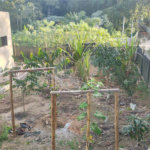 Terreno à venda com 1 suíte no Centro, Ibiúna, SP