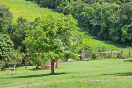 Sítio à venda com 6 quartos, sendo 1 suíte,  em Bairro do Cambará, São Roque, SP