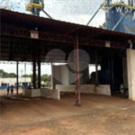 Prédio à venda no Centro Cívico, Angélica, MS