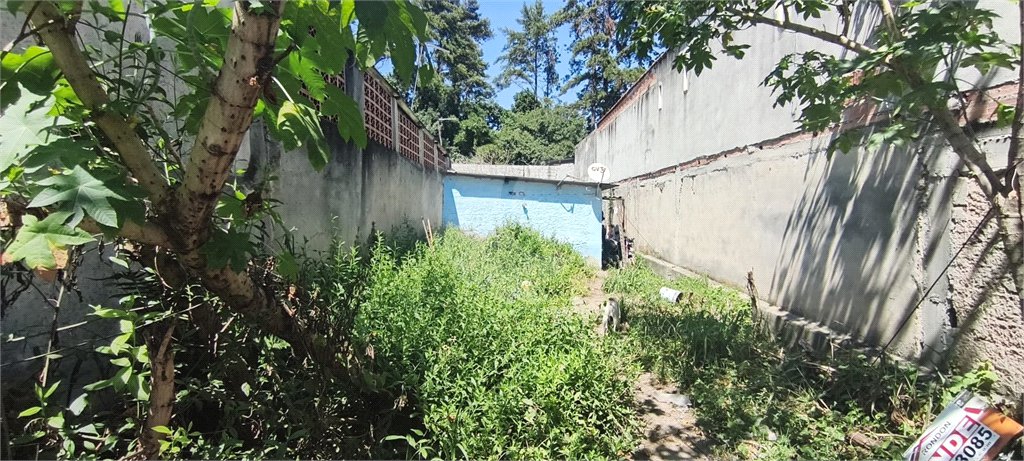 Terreno à venda em Vila Imaculada, Guarulhos, SP