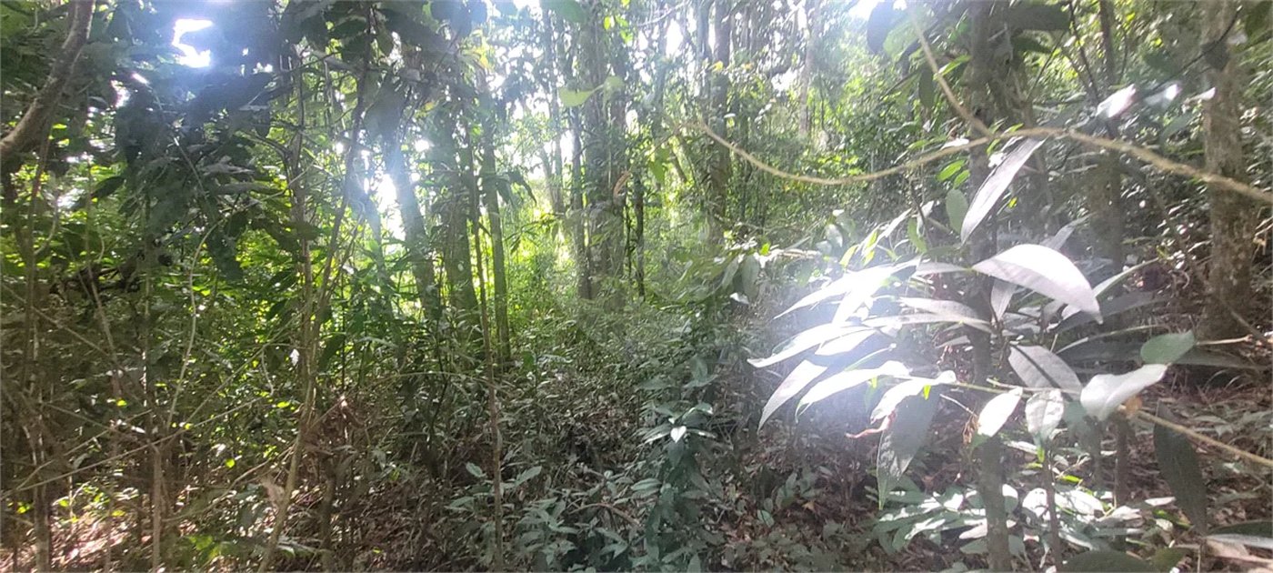 Terreno à venda em Mantiqueira, Mairiporã, SP