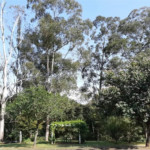 Casa em condomínio à venda com 3 quartos, sendo 1 suíte, em Aparecidinha, Sorocaba, SP