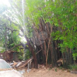 Terreno à venda com 5 quartos em Vila Medeiros, São Paulo, SP