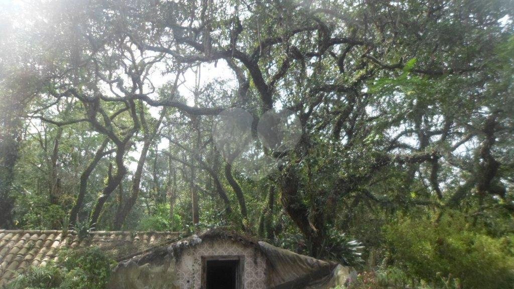Terreno à venda com 1 suíte no condomínio Chácara Flora, São Paulo - SP