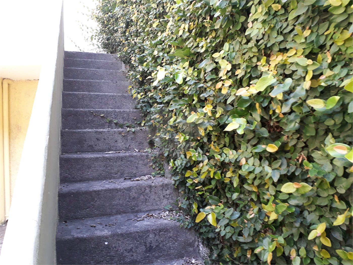 Sobrado à venda com 3 quartos em Mandaqui, São Paulo, SP