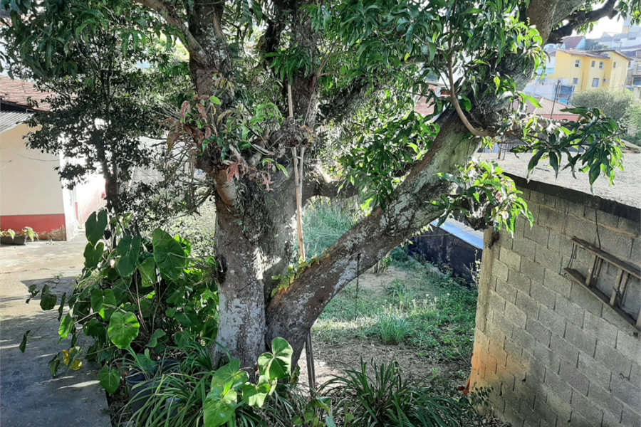 Terreno à venda em Tucuruvi, São Paulo, SP
