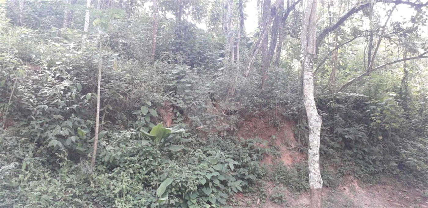 Terreno à venda no condomínio Alpes de Mairiporã, Mairiporã - SP