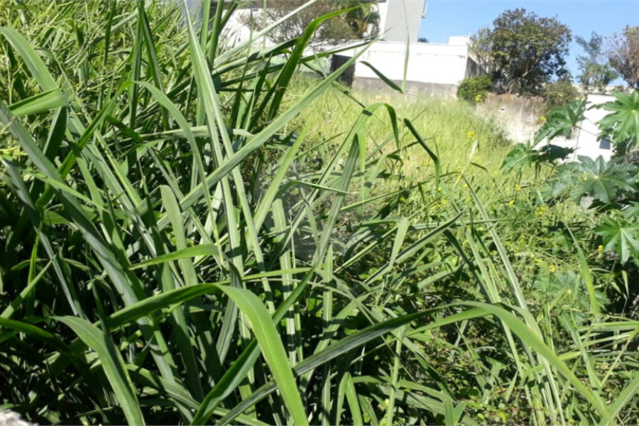 Terreno à venda em Santana, São Paulo, SP