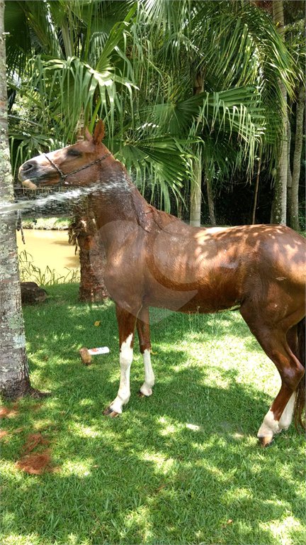 Chácara à venda com 3 quartos, sendo 1 suíte, em Área Rural de Louveira, Louveira, SP