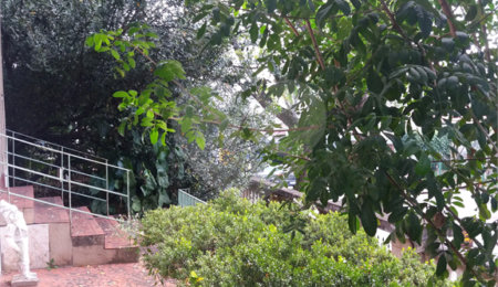 Terreno à venda com 3 quartos em Vila Guilherme, São Paulo, SP