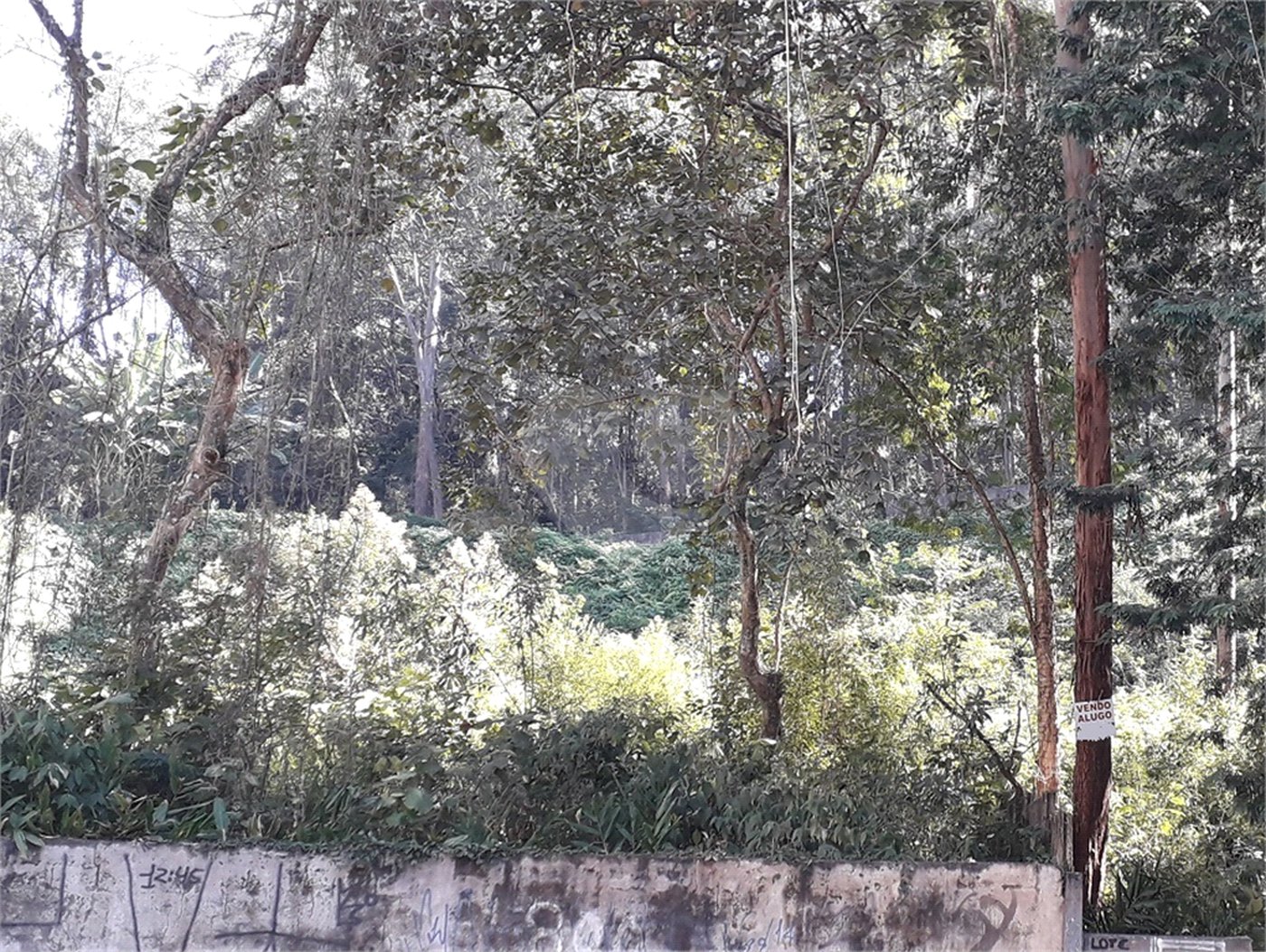 Terreno à venda em Vila Andrade, São Paulo, SP