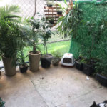 Apartamento à venda com 2 quartos em Campo Grande, Rio de Janeiro, RJ