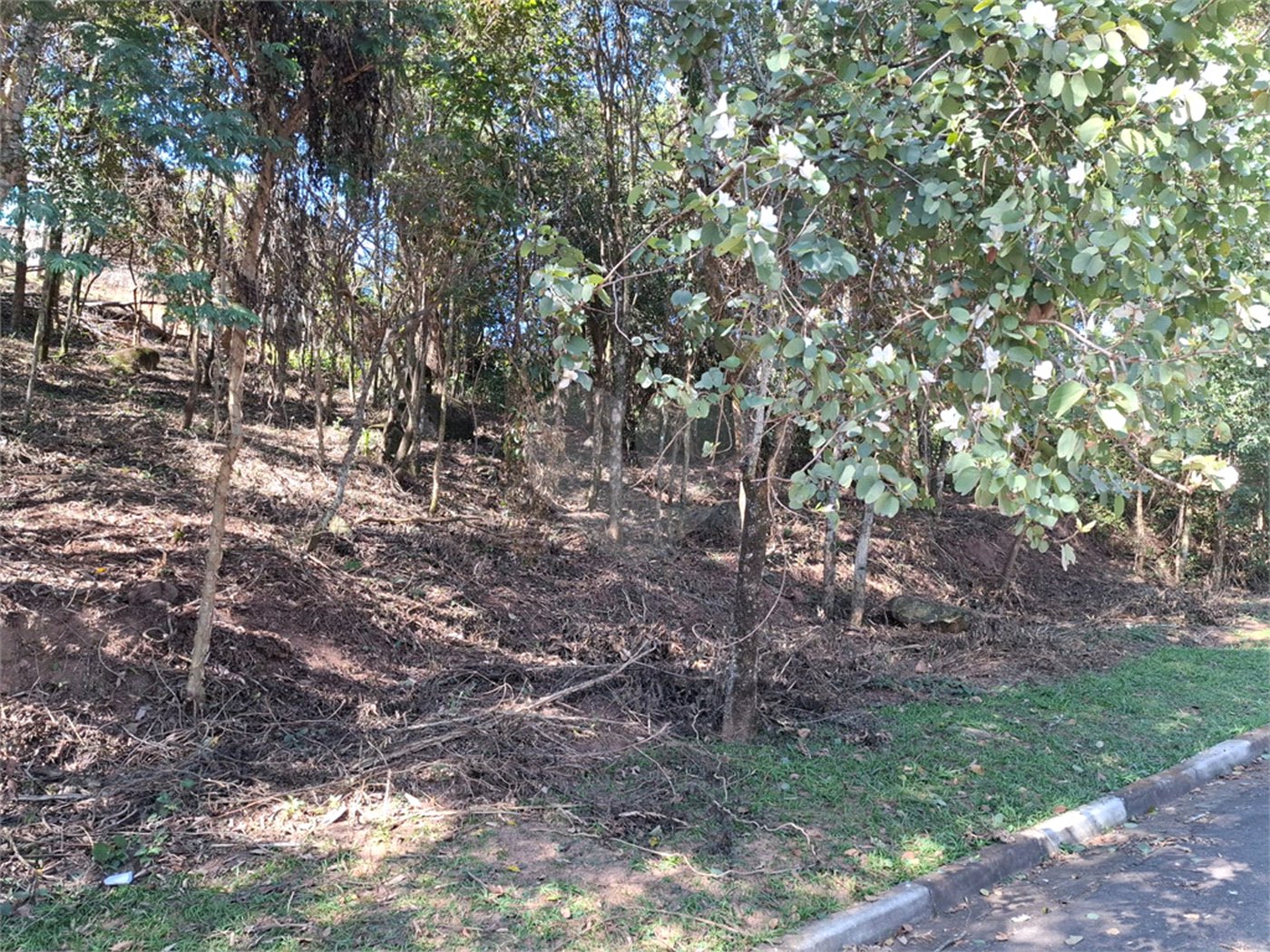 Terreno à venda em Jardim Peri, São Paulo, SP