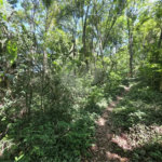 Casa para Locação no Condomínio Jardim América em Vinhedo/SP