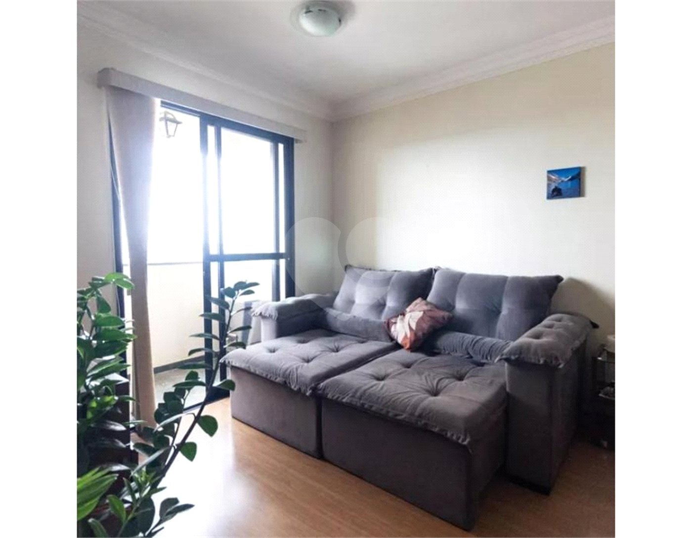 Apartamento à venda com 3 quartos, sendo 1 suíte,  em Parque Mandaqui, São Paulo, SP
